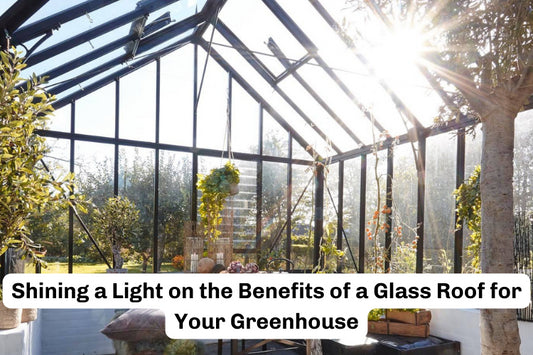 Shining a Light on the Benefits of a Glass Roof for Your Greenhouse