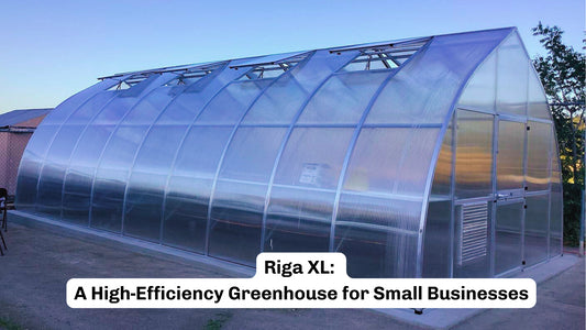 Riga XL: A High-Efficiency Greenhouse for Small Businesses