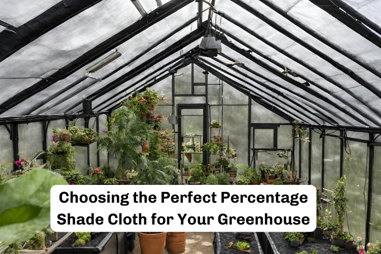 Choosing the Perfect Percentage Shade Cloth for Your Greenhouse Dive