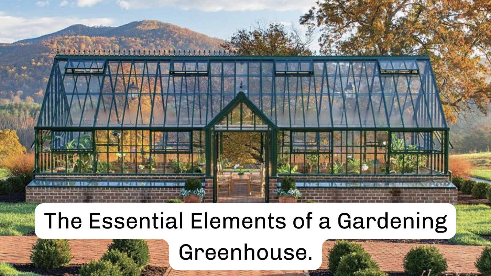 The Essential Elements of a Gardening in Greenhouse