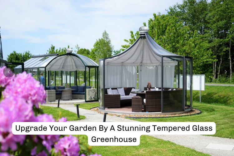 Upgrade Your Garden By A Stunning Tempered Glass Greenhouse