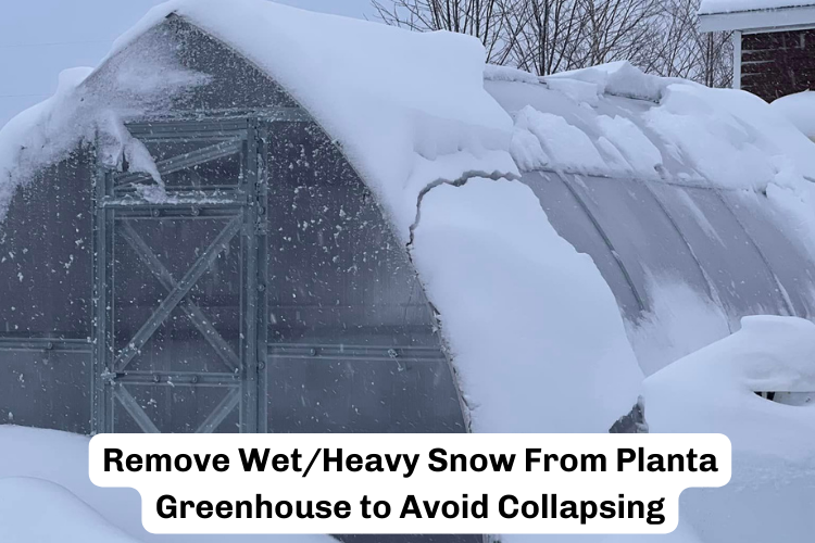 Remove Wet/Heavy Snow From Your Greenhouse to Avoid Collapsing