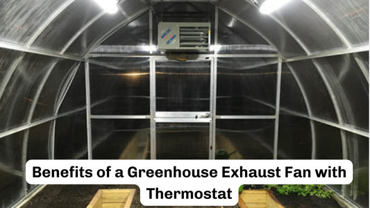 Benefits of a Greenhouse Exhaust Fan with Thermostat
