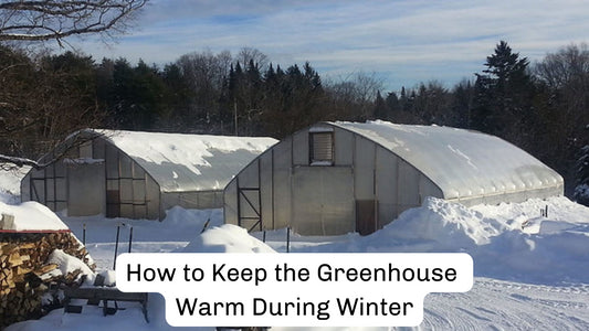 How to Keep the Greenhouse Warm During Winter