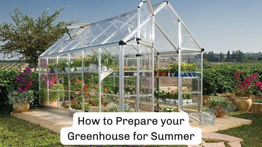 How to Prepare Your Greenhouse for Summer