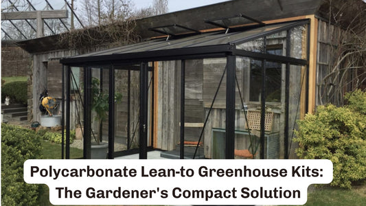Polycarbonate Lean-to Greenhouse Kits: The Gardener's Compact Solution