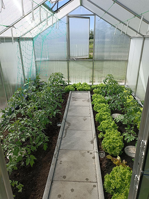 Nelke IV™ 9X8X14.ft A-Frame Triple Wall Greenhouse