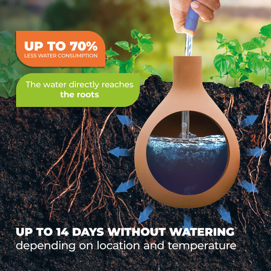 Hydro Max Olla Watering System
