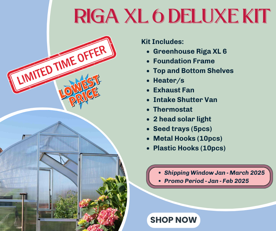 RIGA XL 6™ 14X9X20.ft Greenhouse