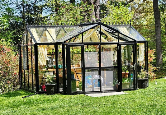 Royal-T Victorian™  16X9X13.ft Orangerie Greenhouse