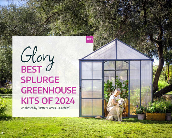 All Season Greenhouse