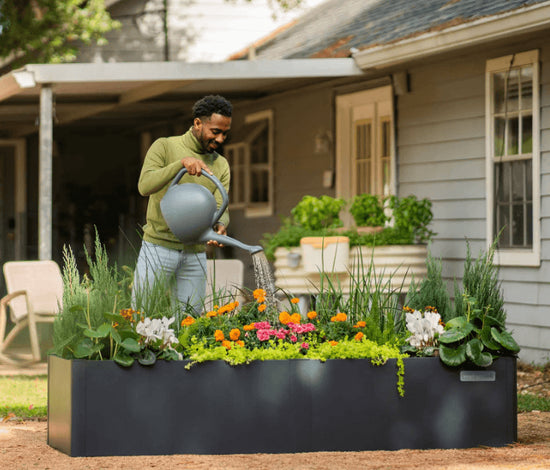 All Season Greenhouse