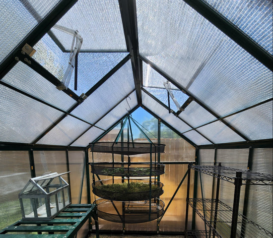 All Season Greenhouse