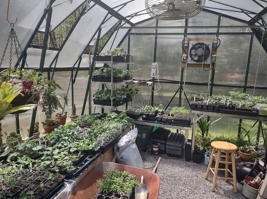 All Season Greenhouse