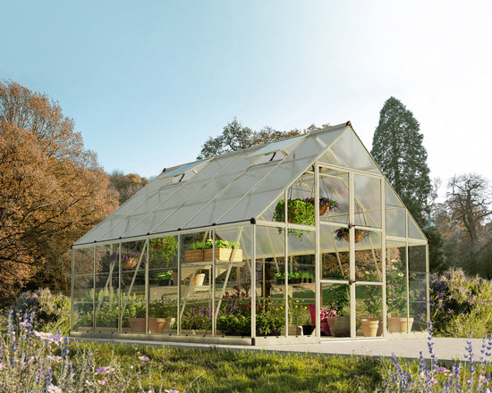 Balance Greenhouse - Balance™ 10x8x12.ft Clear Wall Greenhouse