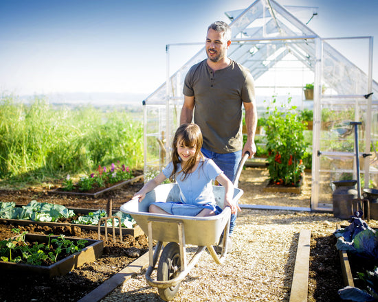 Balance Greenhouse - Balance™ 10x8x12.ft Clear Wall Greenhouse