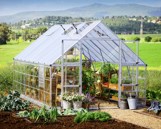 Balance Greenhouse - Balance™ 10x8x16.ft Clear Wall Greenhouse