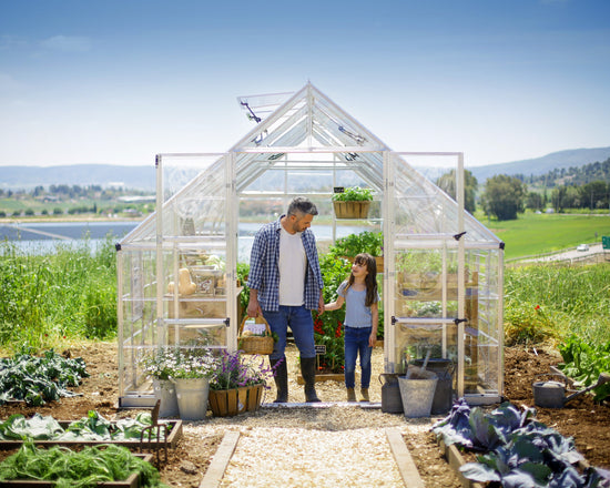 Balance Greenhouse - Balance™ 10x8x16.ft Clear Wall Greenhouse