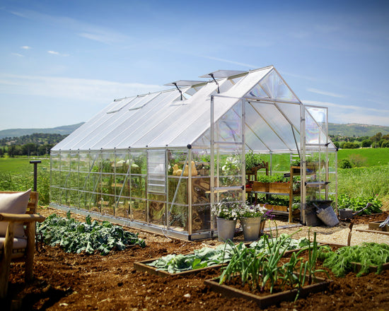 Balance Greenhouse - Balance™ 10x8x20.ft Clear Wall Greenhouse