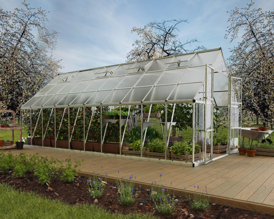 Balance Greenhouse - Balance™ 10x8x20.ft Clear Wall Greenhouse