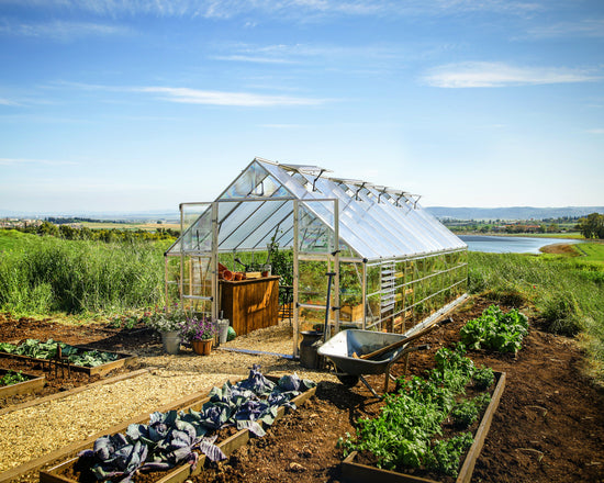 Balance Greenhouse - Balance™ 10x8x24.ft Clear Wall Greenhouse