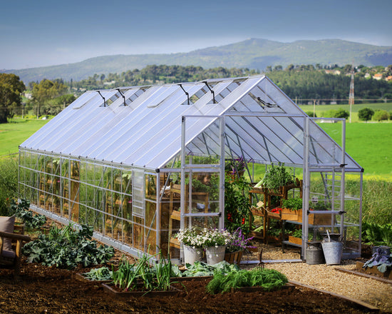 Balance Greenhouse - Balance™ 10x8x32.ft Clear Wall Greenhouse