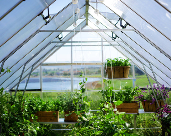 All Season Greenhouse