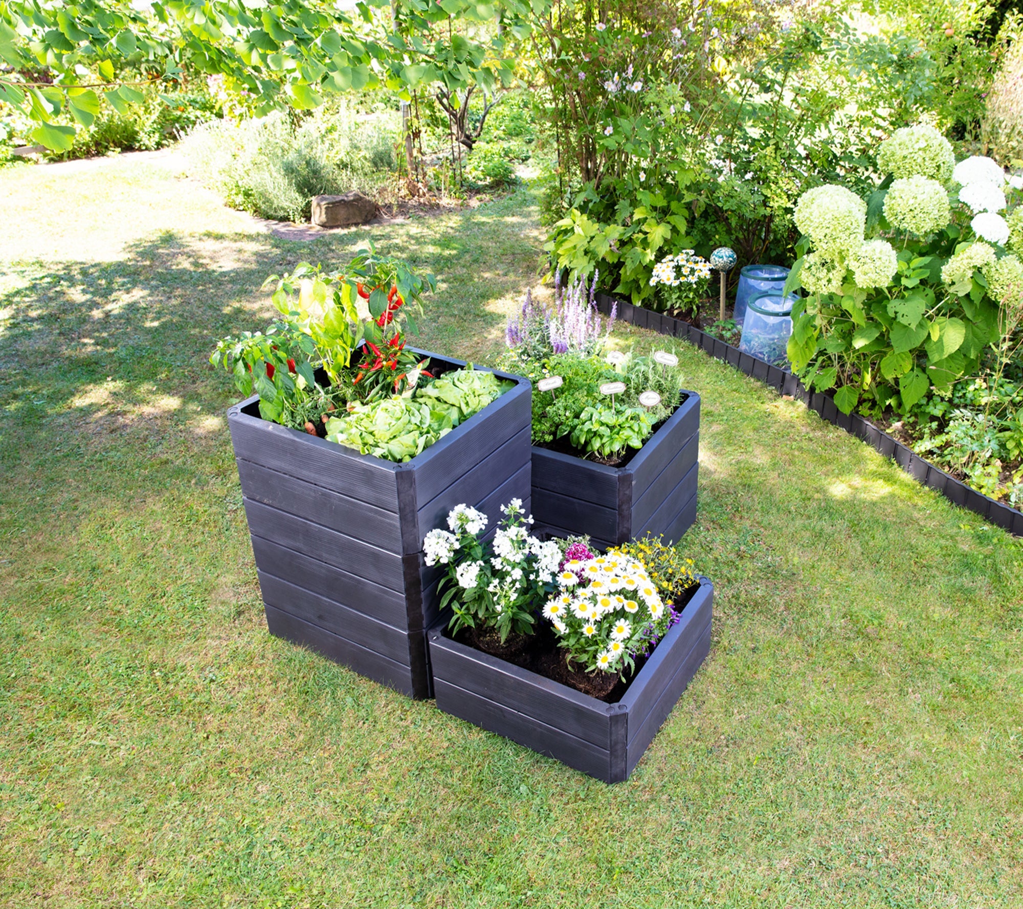 Garden Bed - ERGO™ Raised Garden Bed