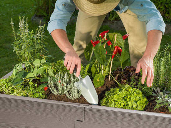 Juwel Cold Frame - Timber Raised Bed