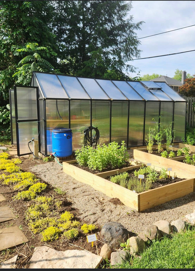 Monticello Greenhouse - MONT™ 8x8x16.ft Large Entrance Greenhouse