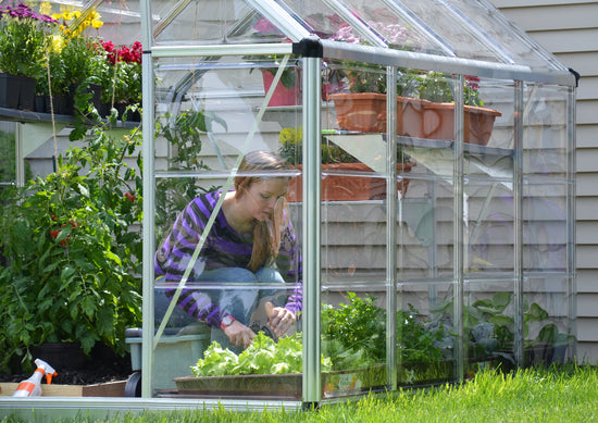 Snap&Grow 6 Greenhouse - Snap&Grow™ 6x7x8.ft Clear Wall Greenhouse