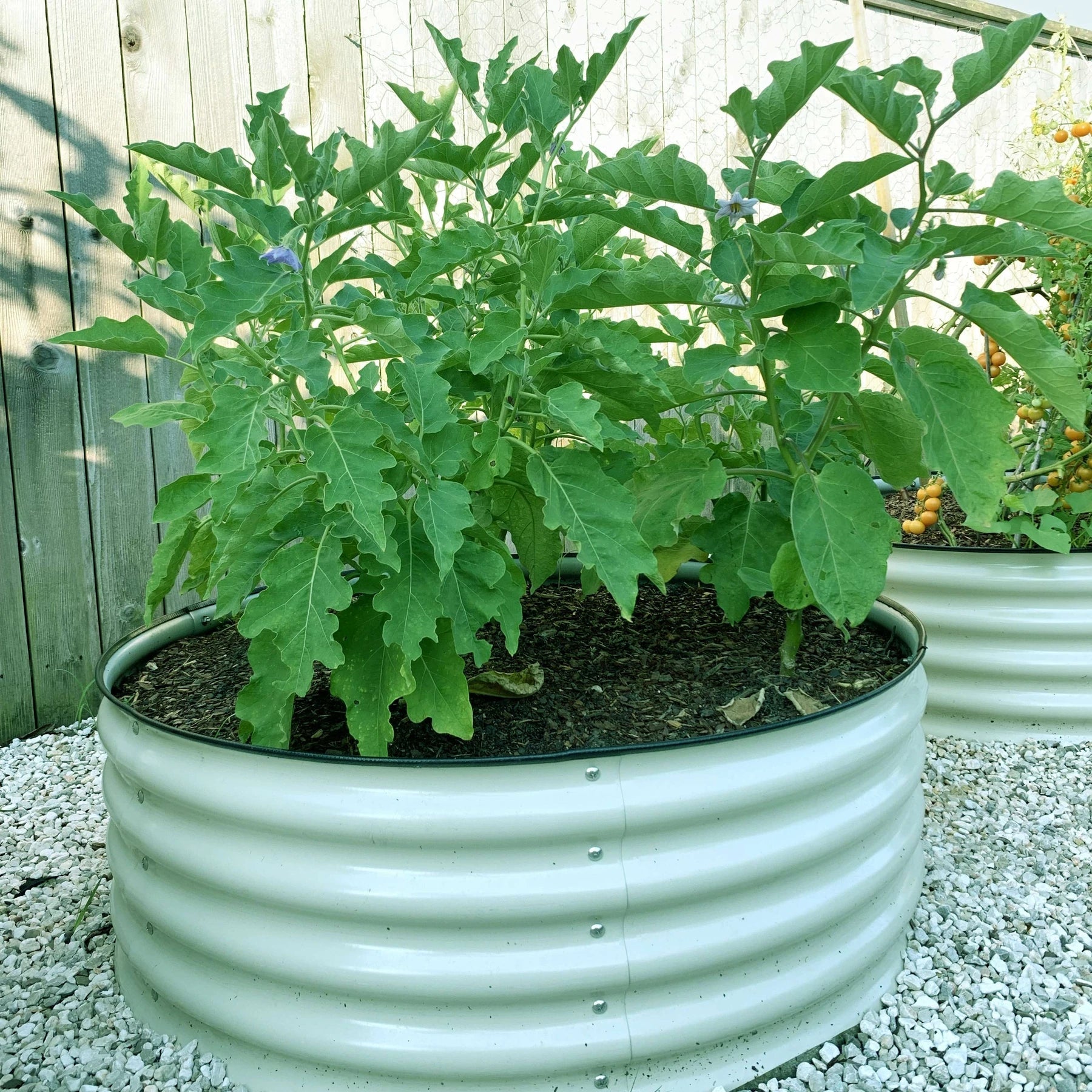 Vego Garden Bed - 17