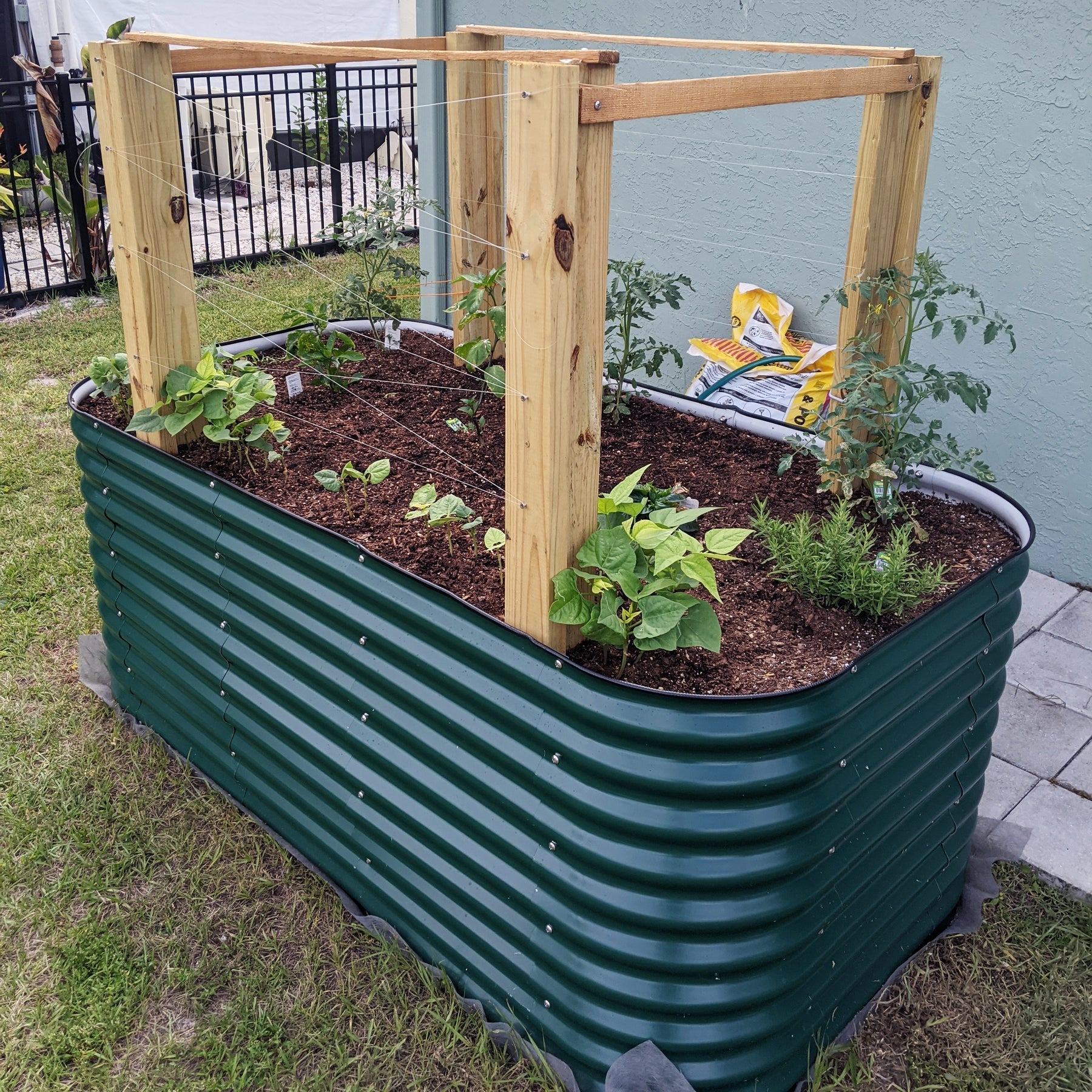 Vego Garden Bed - 32