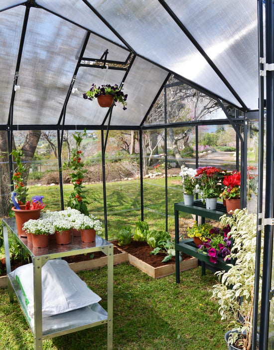 Victory Oeangery T-Shape Greenhouse - Victory Orangery™ 12x9x10.ft Greenhouse