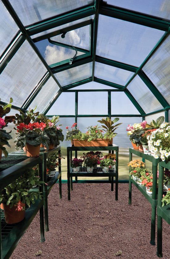 All Season Greenhouse