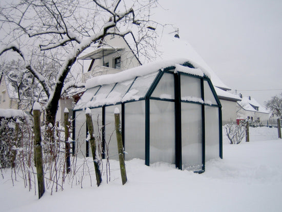 All Season Greenhouse