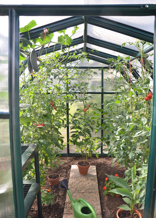 All Season Greenhouse