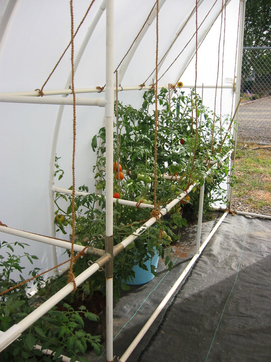 Garden Master™ 8x8x24.ft Heat Efficient Greenhouse - Dive To Garden