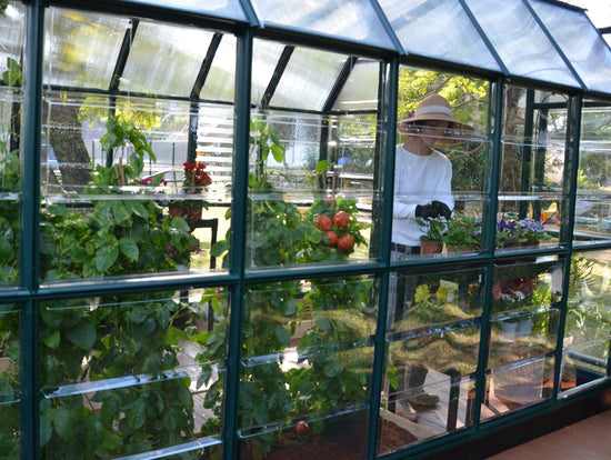 All Season Greenhouse