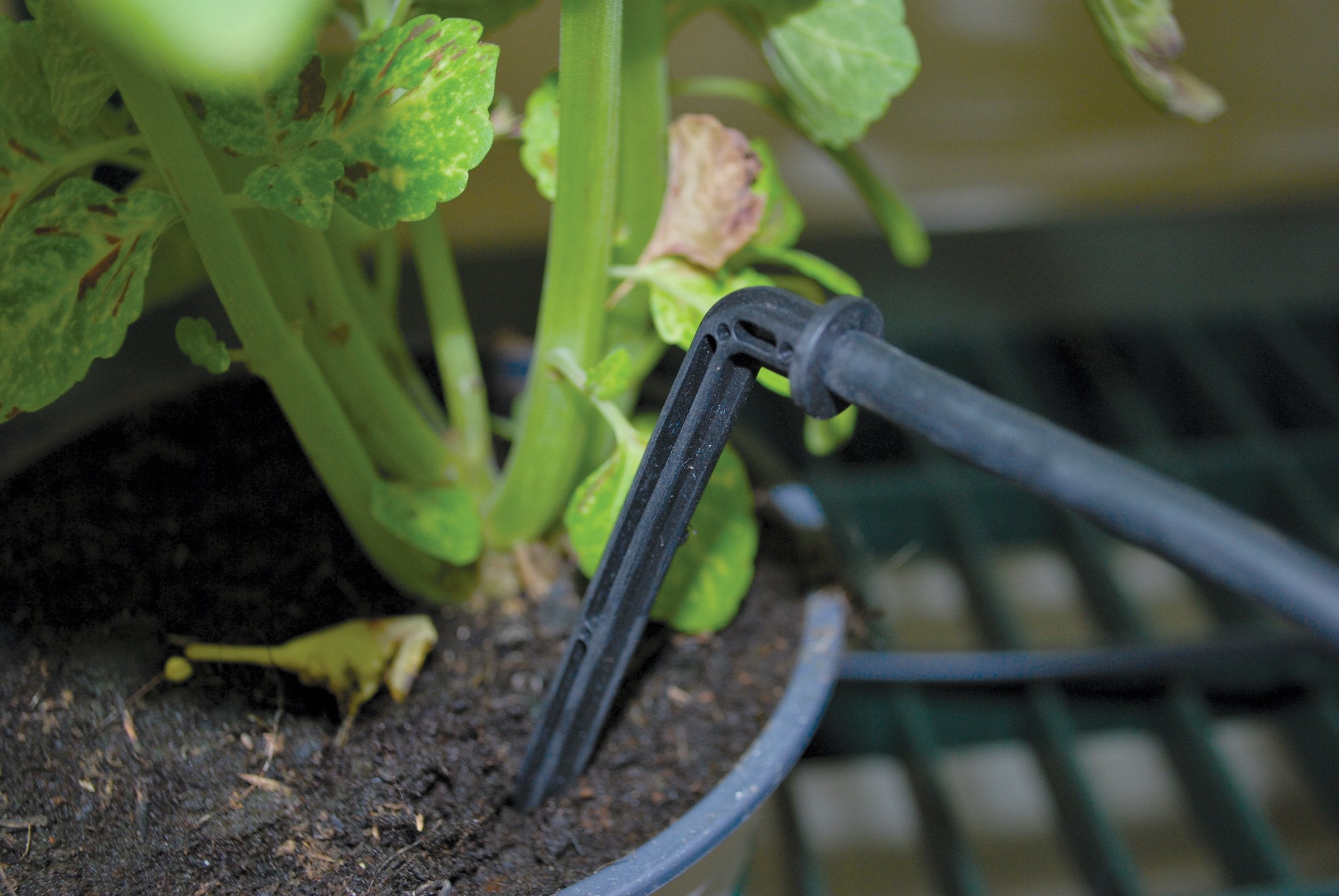 Palram-Canopia® Drip Irrigation Kit - Dive To Garden