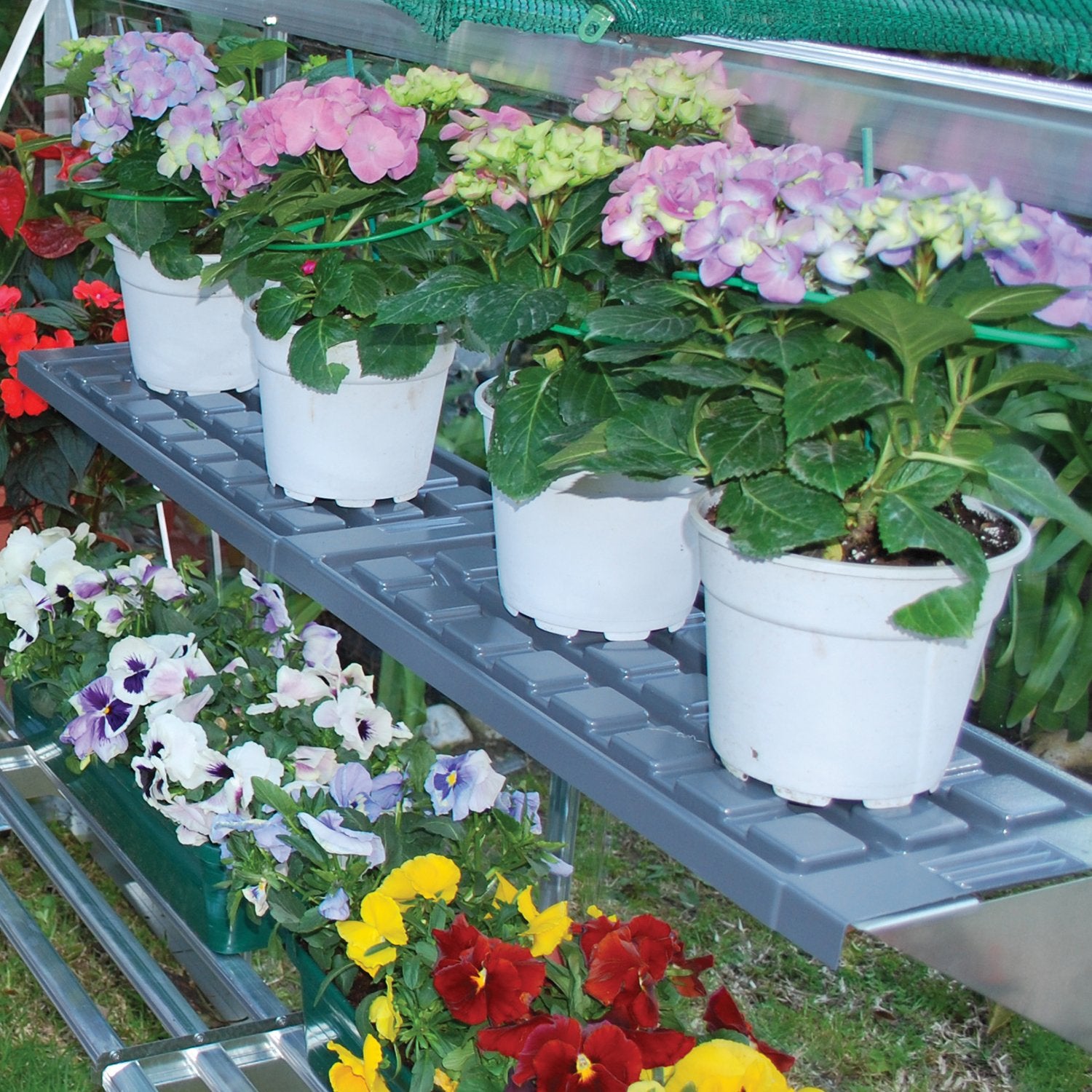 Twin Shelf Kits for Palram-Canopia® Greenhouses - Dive To Garden