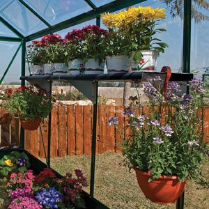 Twin Shelf Kits for Palram-Canopia® Greenhouses - Dive To Garden