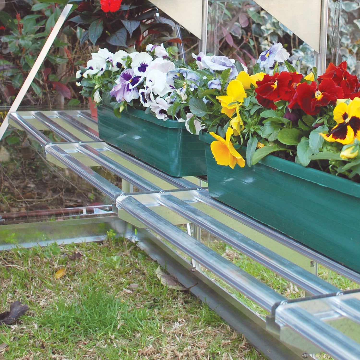Heavy Duty Shelf for the Canopia® Greenhouses - Dive To Garden