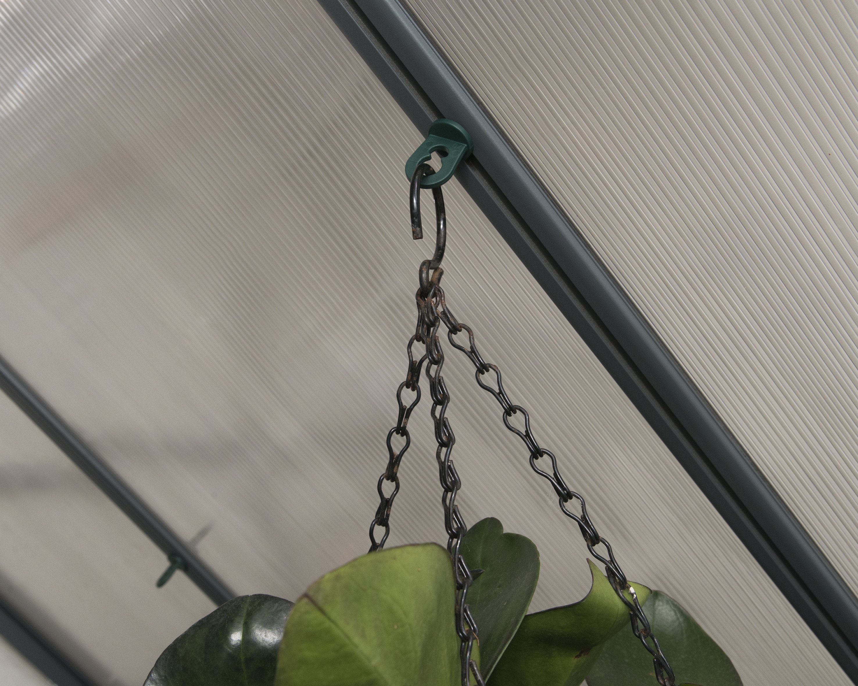 Plant Hangers for Palram-Canopia® Greenhouses - Dive To Garden