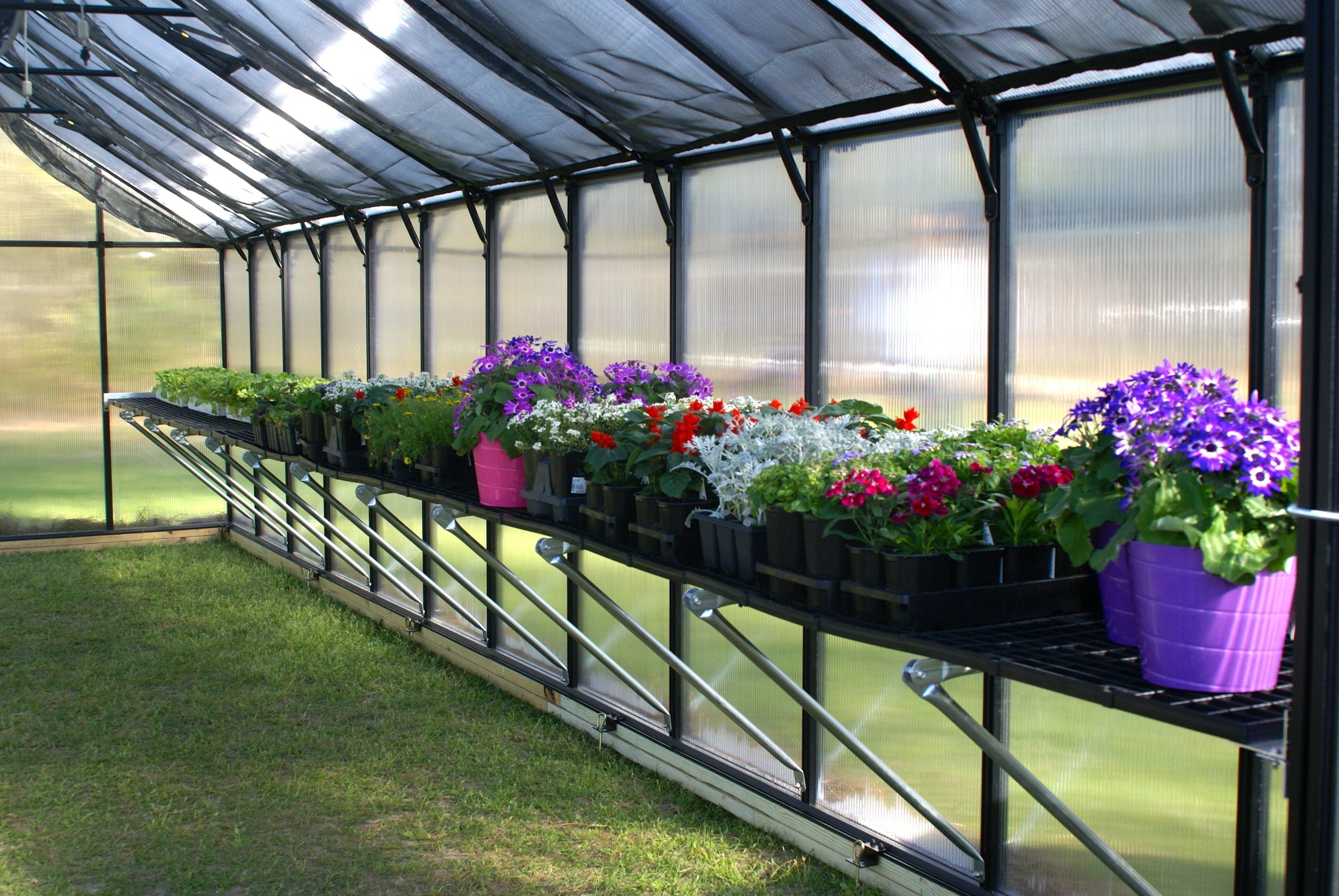 MONT™ Greenhouse Workbench/Shelf System - Dive To Garden