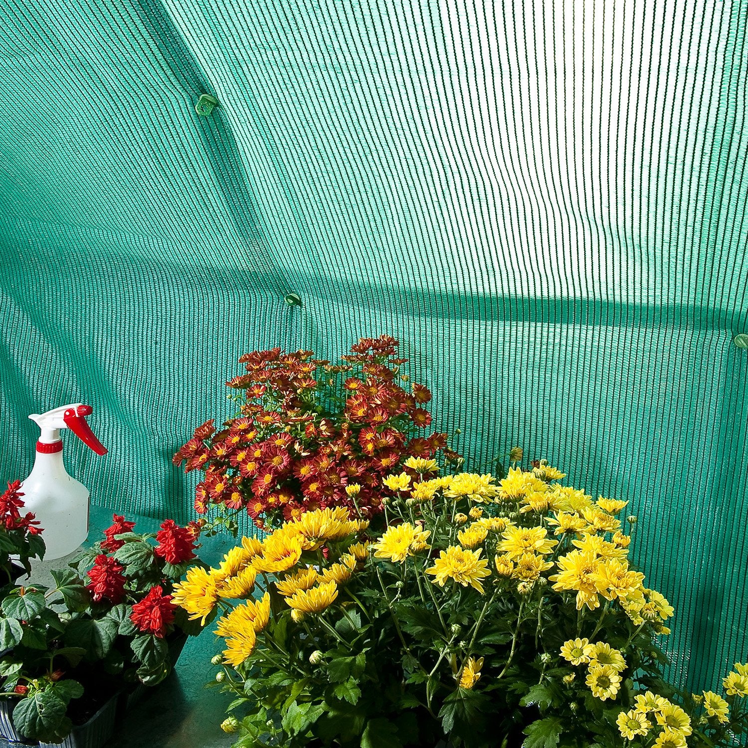 Shade Cloth 8X8 for Palram-Canopia® Greenhouses - Dive To Garden