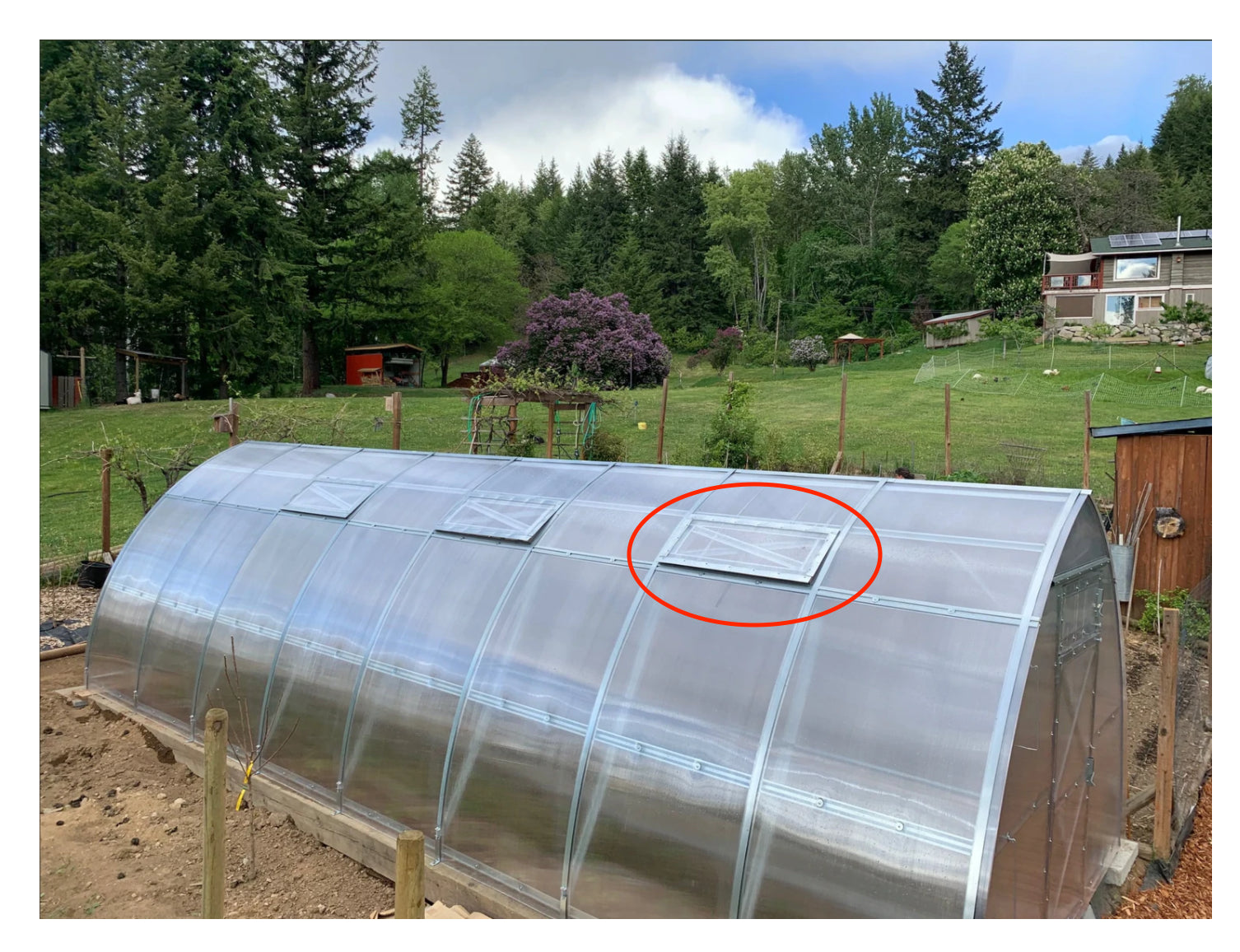 Sungrow™ Automatic Ventilation Window - Dive To Garden