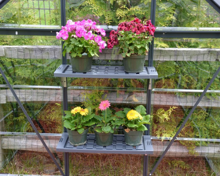 Twin Shelf Kits for Palram-Canopia® Greenhouses - Dive To Garden