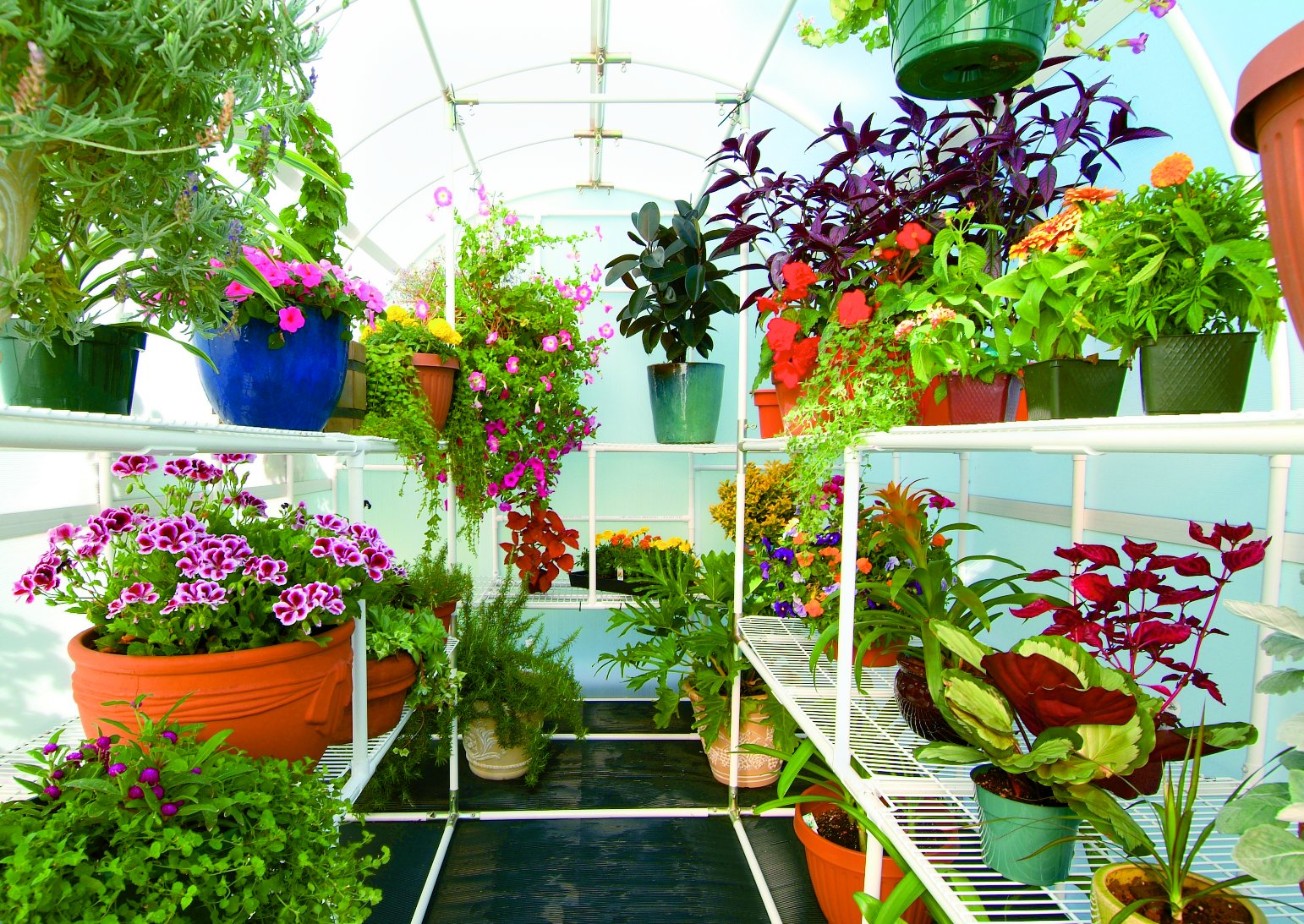 Gardener's Oasis™ 8x8x8.ft Heat Efficient Greenhouse - Dive To Garden