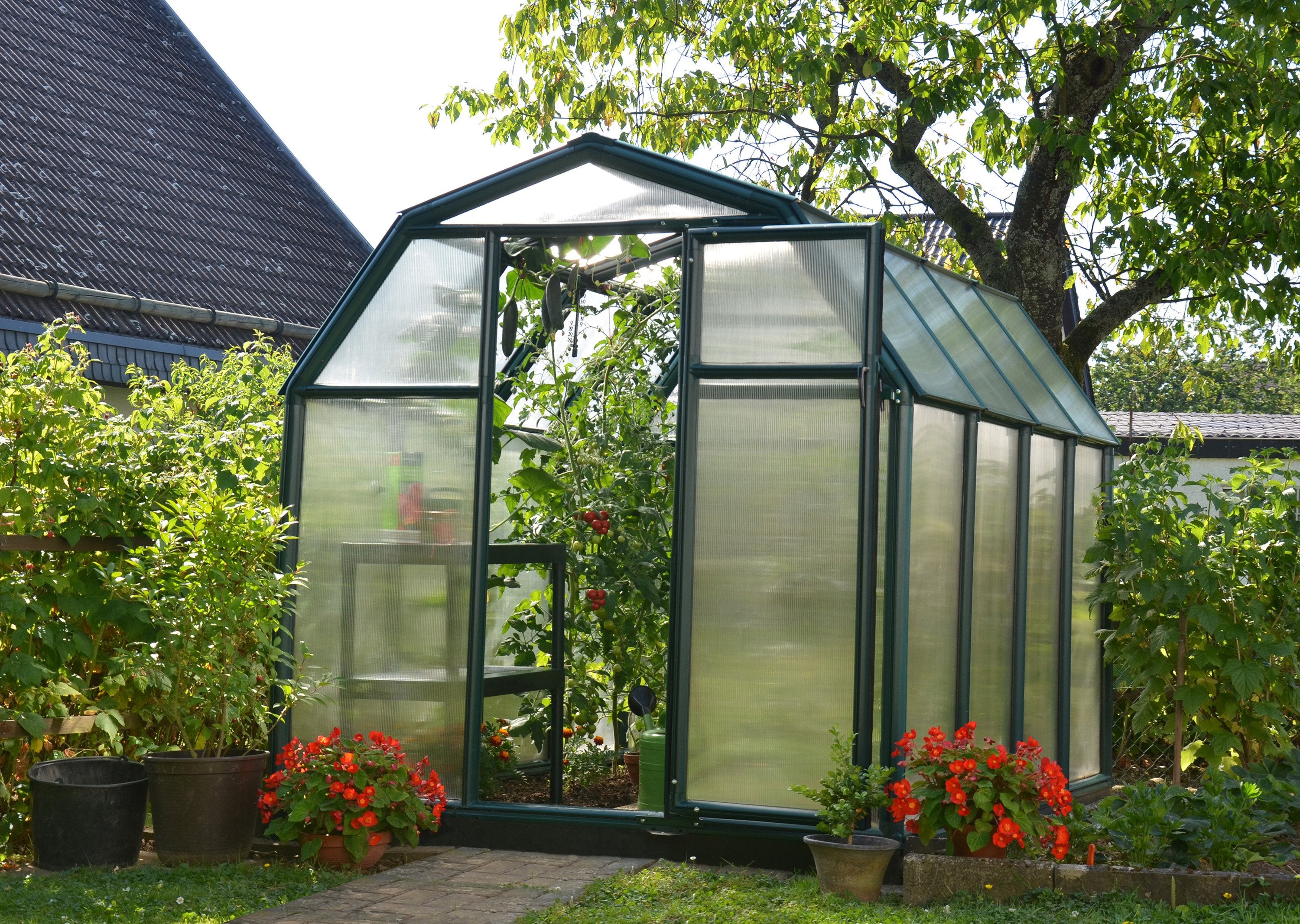 EcoGrow 2™ 6x6x8.ft Twin Wall Greenhouse - Dive To Garden